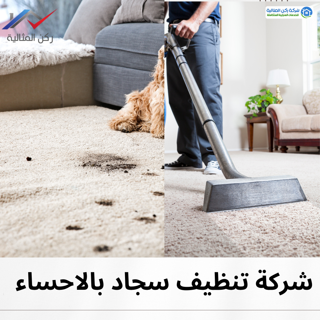 شركة تنظيف سجاد بالاحساء 0564287780 شركة تنظيف سجاد بالاحساء
