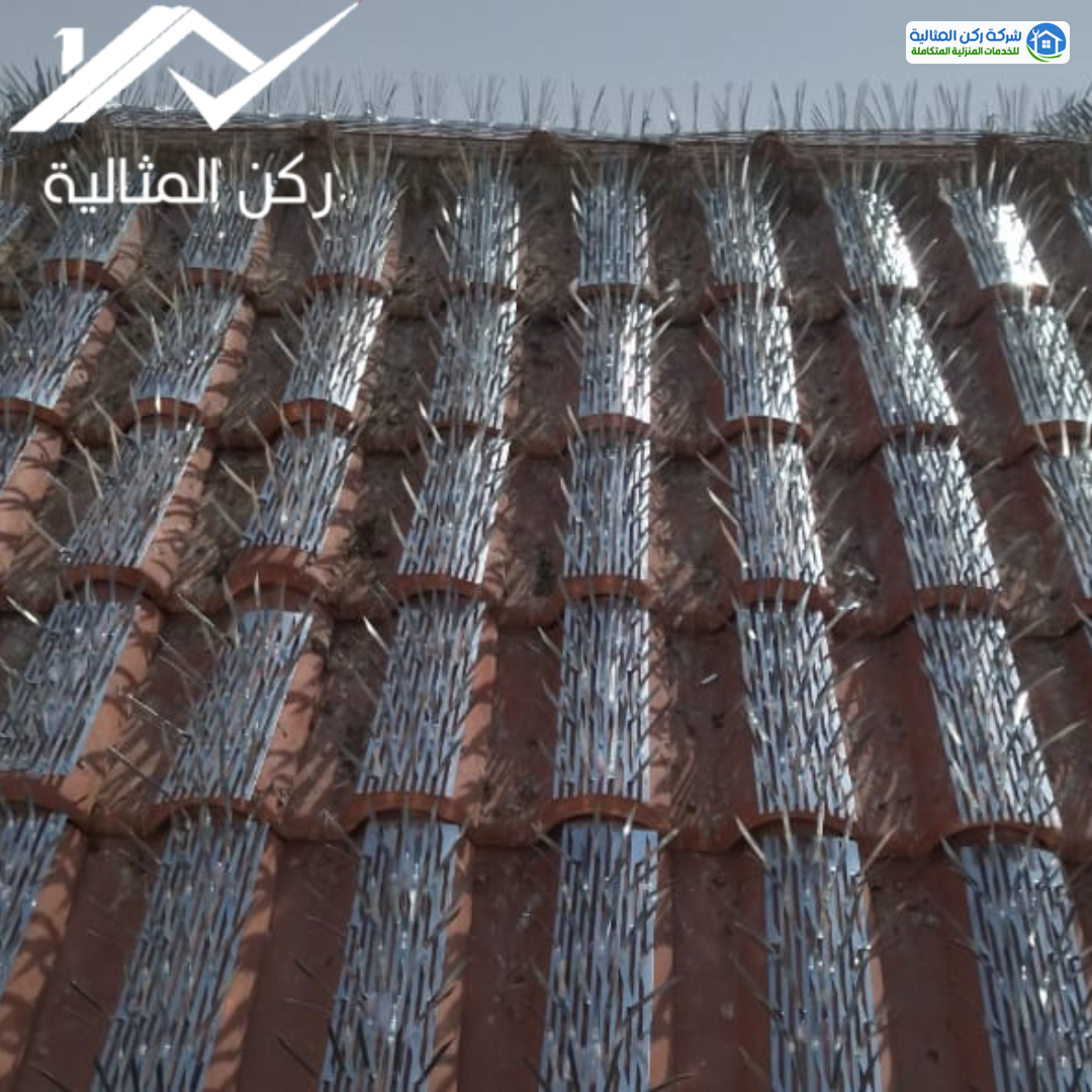 شركة تركيب طارد الحمام بالاحساء 0564287780 شركة تركيب طرد حمام بالاحساء