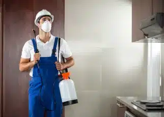 شركة مكافحة نمل ابيض بالدمام